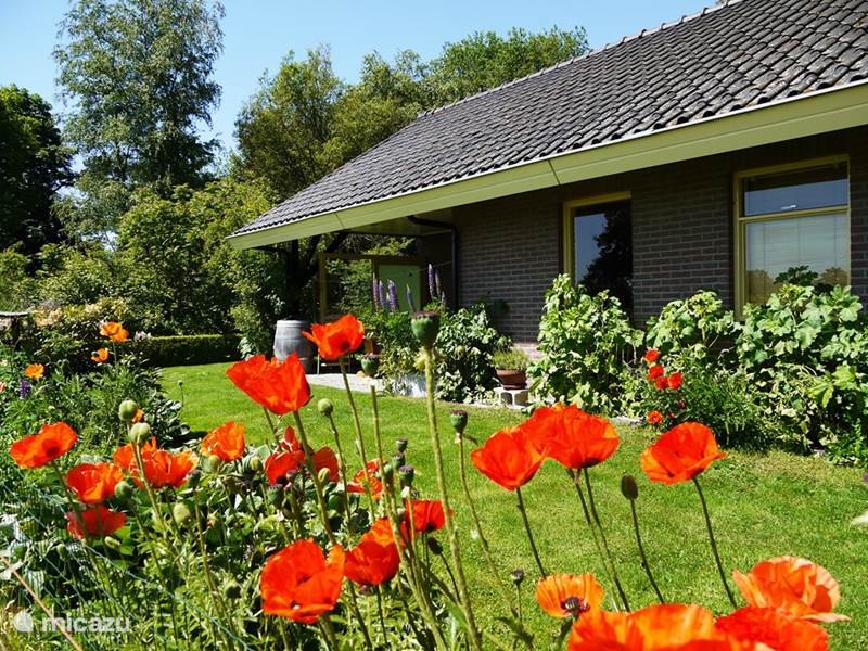 Holiday home in Netherlands, Overijssel, Hardenberg Bungalow Rural Private Vacation Ov for 4 pers