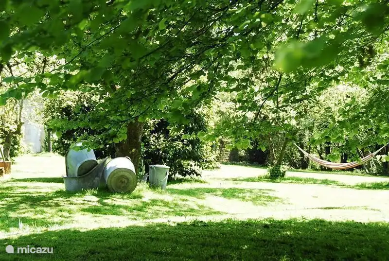 Détendez-vous dans un coin du jardin