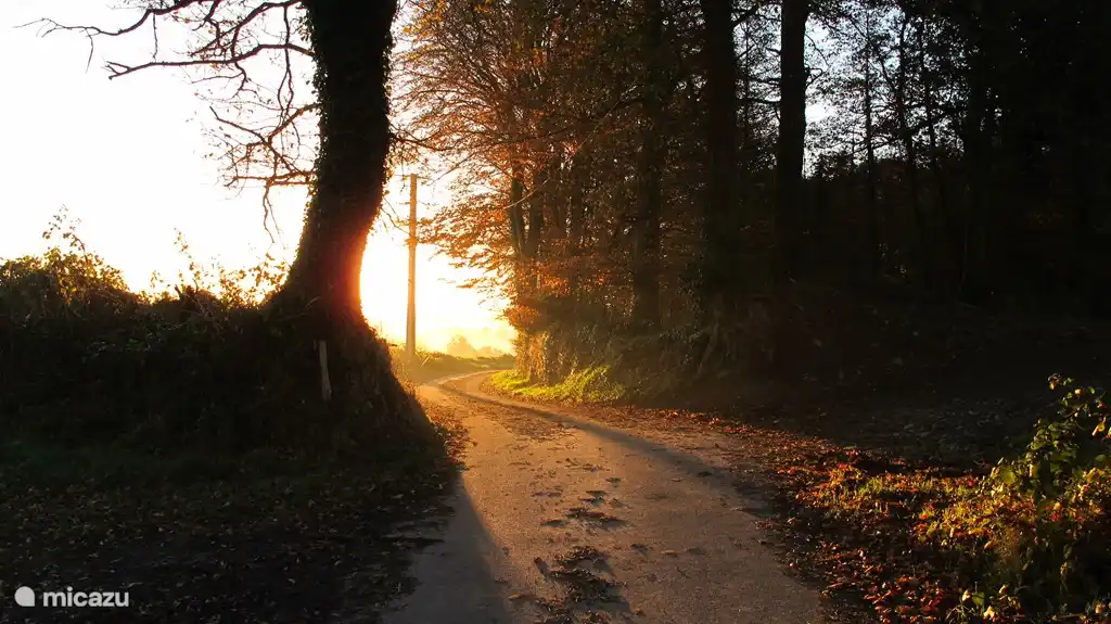 chemin privé vers Guernevelien, le Chariot

