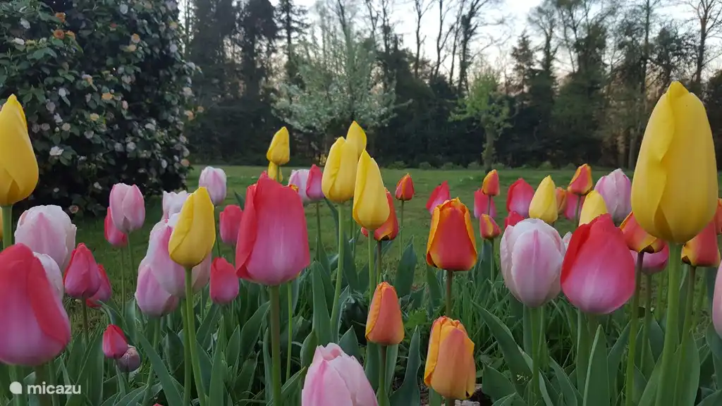 Printemps à Ploerdut