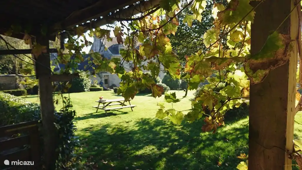 Automne les raisins sont presque bons