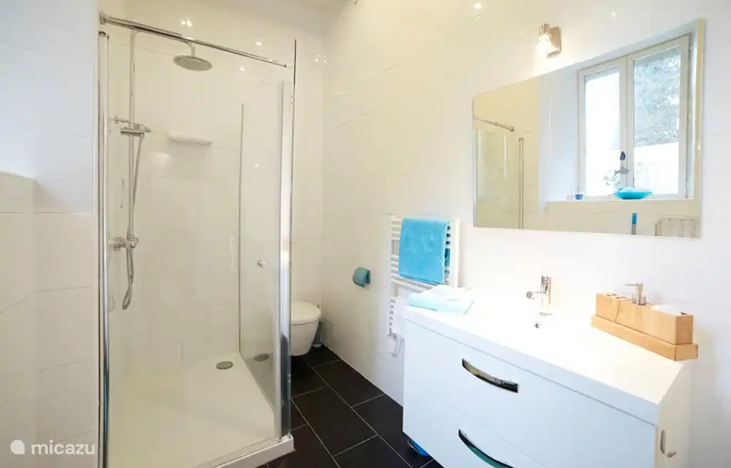 La salle de bain avec toilettes suspendues, lavabo spacieux et douche à effet pluie.