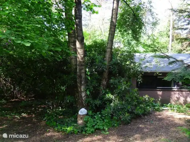 Huisje 140 huren in Nederland, Overijssel, Giethmen - bungalow Zijkant huisje met ruimte voor twee auto's. De slaapkamerramen kijken hier op uit.