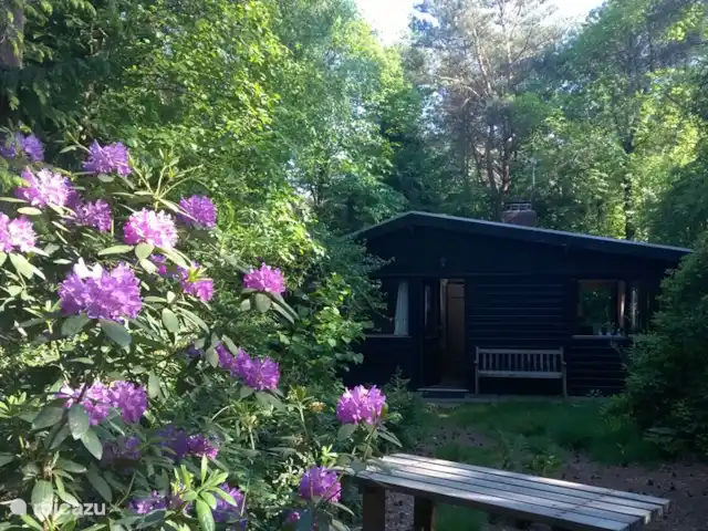 Huisje 140 huren in Nederland, Overijssel, Giethmen - bungalow Entree huisje 140