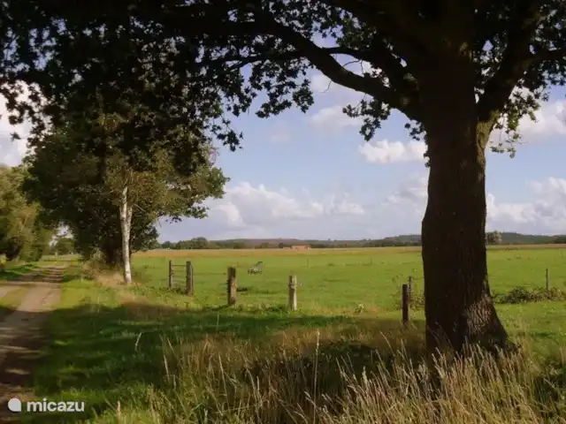 Huisje 140 huren in Nederland, Overijssel, Giethmen - bungalow Hogeveldseweg. Het Giethmenseveld lig aan deze onverharde weg, in de verte is de Lemelerberg te zien.