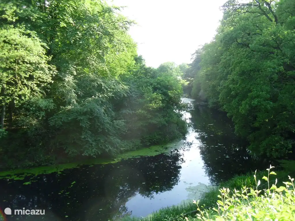 De steileoever, een zijarm van de Regge