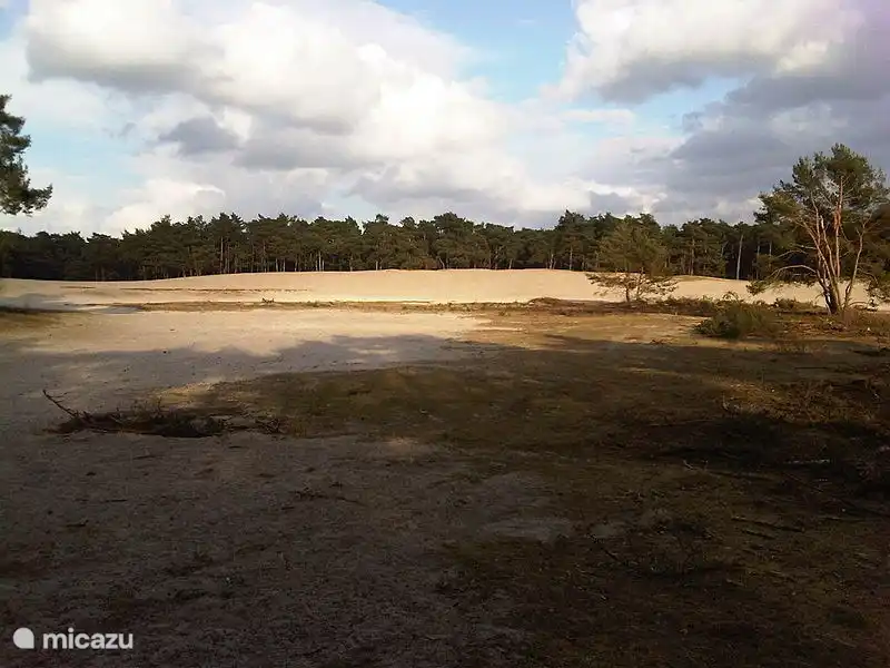 De Sahara, een zandverstuiving bij Ommen