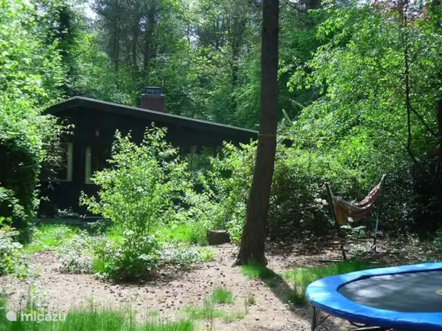 Huisje 140 huren in Nederland, Overijssel, Giethmen - bungalow Achterkant met tuin en de trampoline!