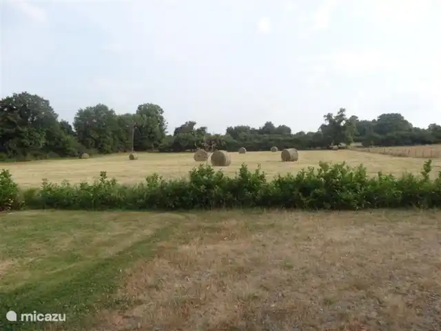 Location de Vacances France, Indre, Lignac, maison de vacances - Le Chêne Vue sur les champs
