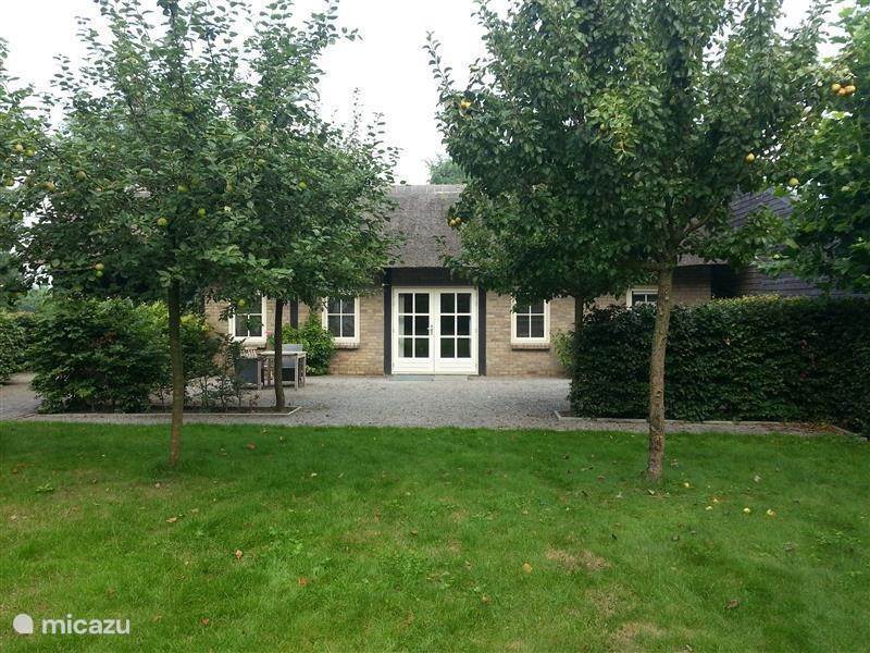 Maison de Vacances Pays-Bas, Brabant septentrional, Chaam Gîte / Cottage Gîte Dassemus
