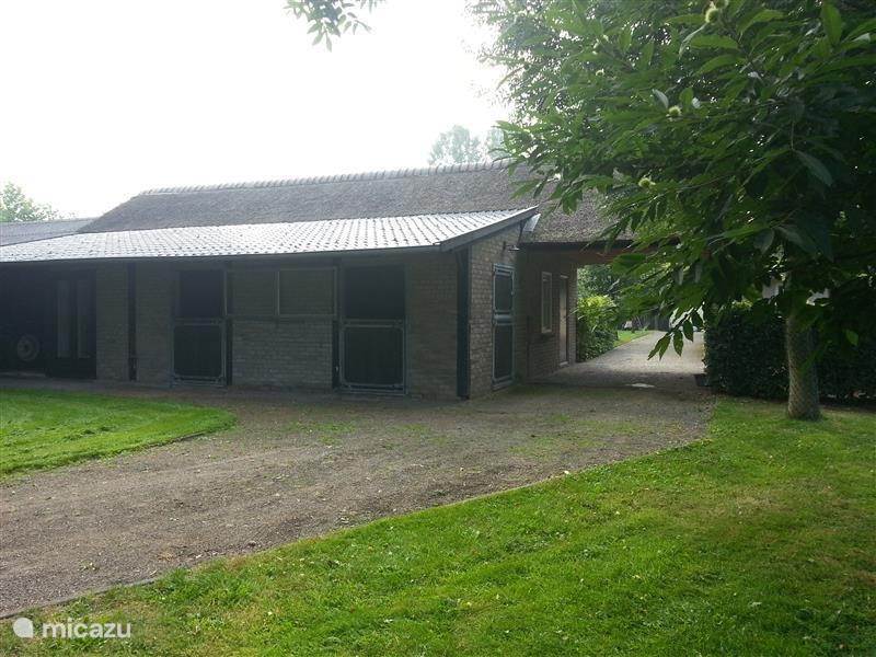 Maison de Vacances Pays-Bas, Brabant septentrional, Chaam Gîte / Cottage Gîte Dassemus