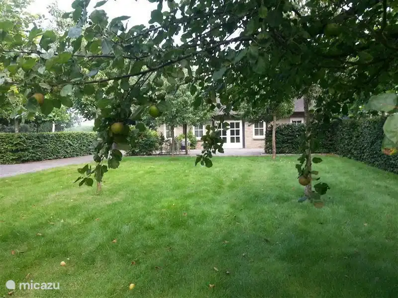 Obstgarten-Ansicht für den Urlaub