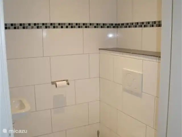 Les Vlaes | Pays-Bas, Brabant-Septentrional, Venhorst - maison de vacances toilettes 2