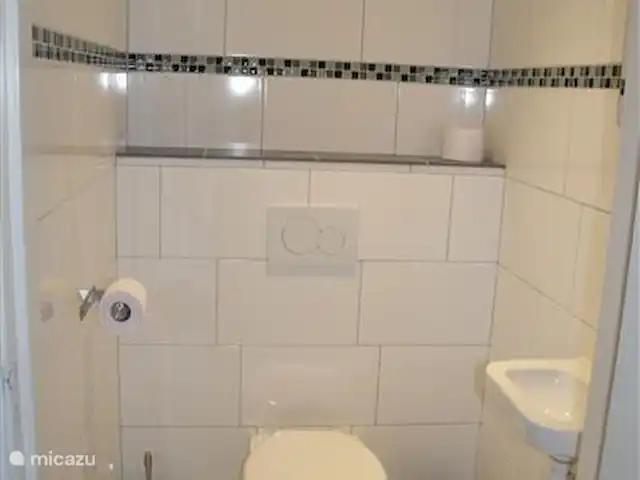 Les Vlaes | Pays-Bas, Brabant-Septentrional, Venhorst - maison de vacances salle de bain 1