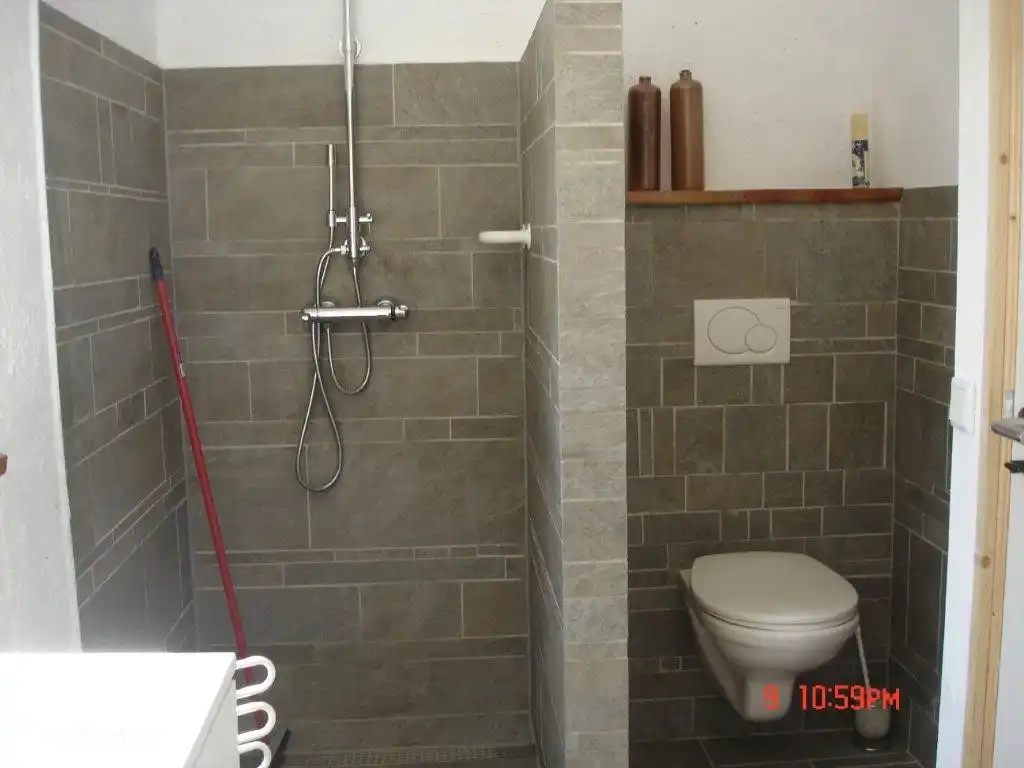 Bathroom with toilet, shower and washbasin