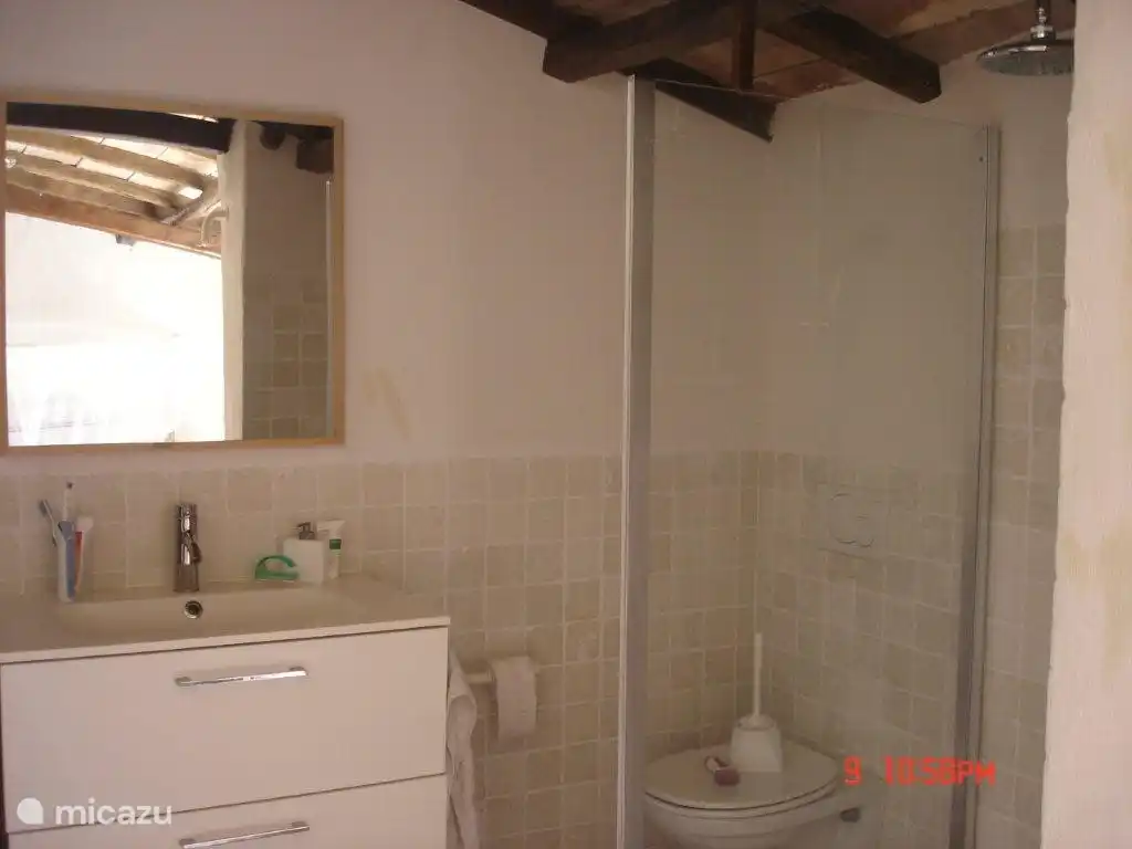 bathroom-1 with shower, toilet and washbasin furniture