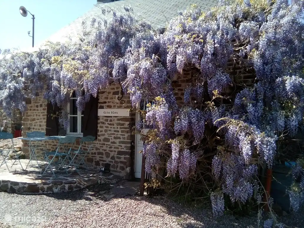 Gite Bleu, Menil Vin, Normandië huren in Frankrijk, Orne, Ménil-Vin - vakantiehuis