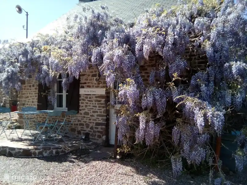 Gite Bleu, Ménil Vin, Normandie | France, Orne, Ménil-Vin - Maison de vacances Gite Bleu, Ménil Vin, Normandie | France, Orne, Ménil-Vin - Maison de vacances
