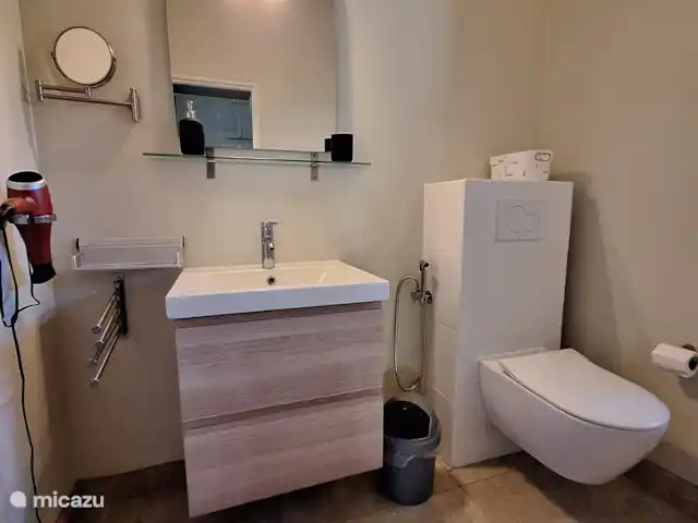 Villa Kas Tribon met privé zwembad huren in Curaçao, Banda Abou (west), Fontein - villa Badkamer en-suite