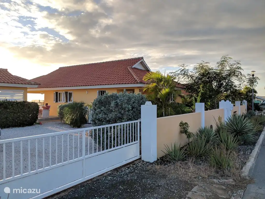 Kas Tribon
von vorne gesehen.