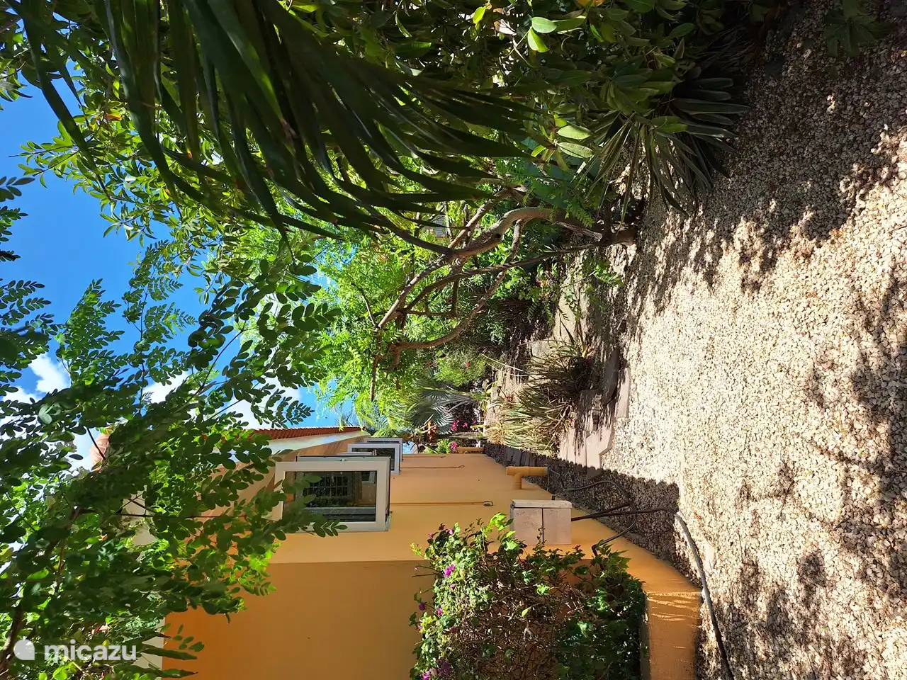 Pflanzen in verschiedenen Farben