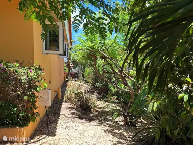 Villa Kas Tribon met privé zwembad huren in Curaçao, Banda Abou (west), Fontein - villa Planten in div kleuren