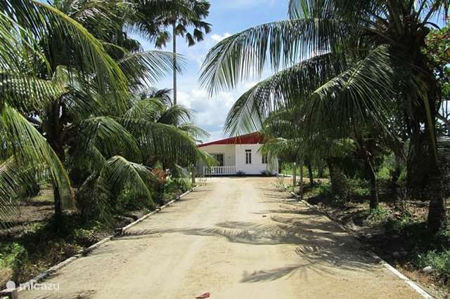 Vakantiehuis Suriname – vakantiehuis Om De Hoek