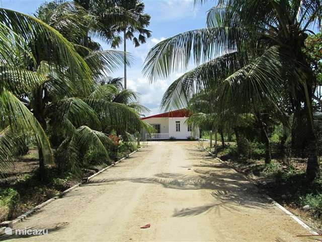Vakantiehuis Suriname, Wanica – vakantiehuis Om De Hoek