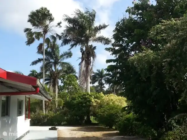 casa vacacional en Surinam, Wanica, Dirección – A la vuelta de la esquina El jardín