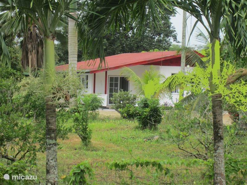 Vakantiehuis Suriname, Wanica, Leiding Vakantiehuis Om De Hoek