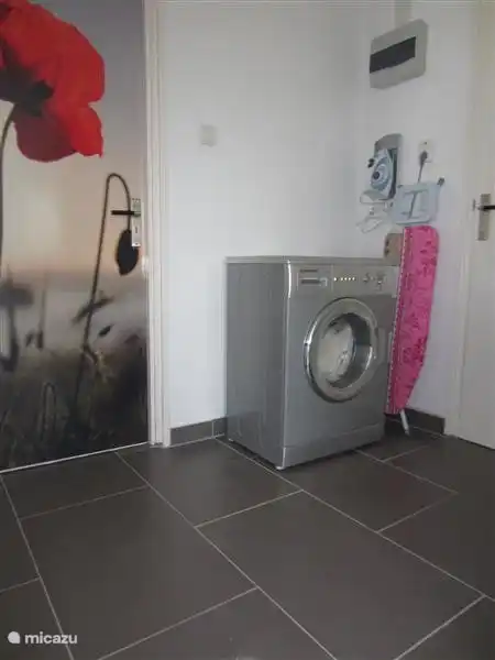 The laundry with ironing facilities and a washing machine.