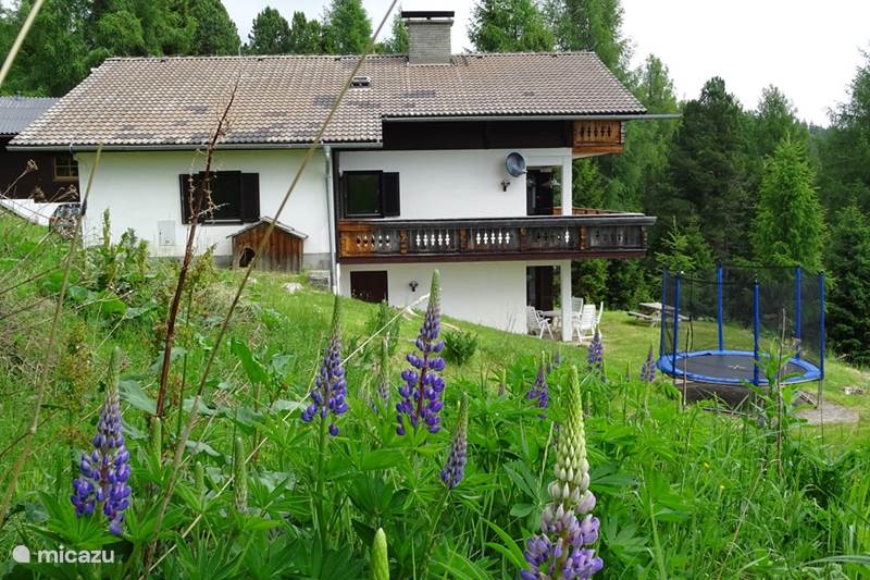 Vacation rental Austria, Carinthia, Hochrindl Chalet Villa Alpenblick (ski lift nearby)