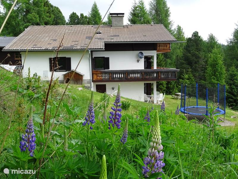 Maison de Vacances Autriche, Carinthie, Hochrindl Chalet Villa Alpenblick (remontée mécanique à proximité)