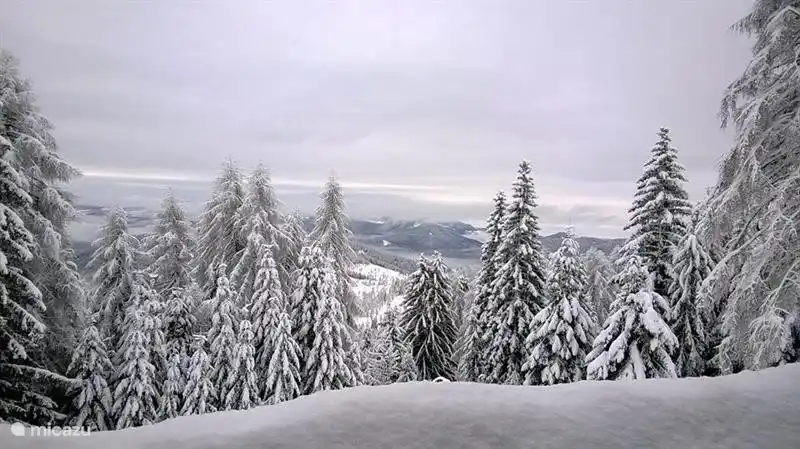 Ein Bild vom Balkon auf den frisch gefallenen Schnee.