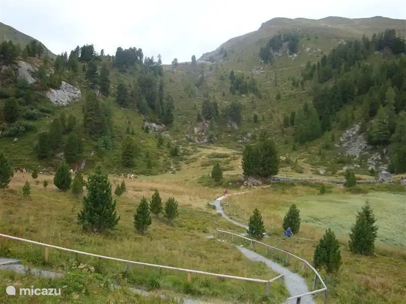 Einer der Ausflüge in die Nockalmstrasse.