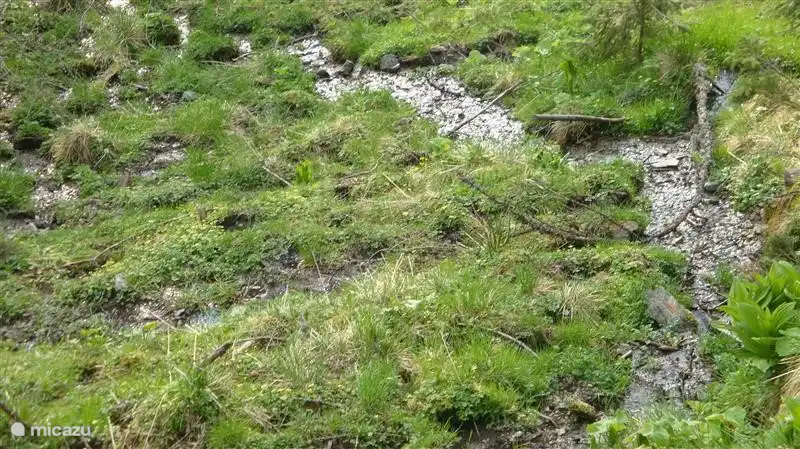 Dieser Strom fließt 50 Meter vom Haus entfernt.