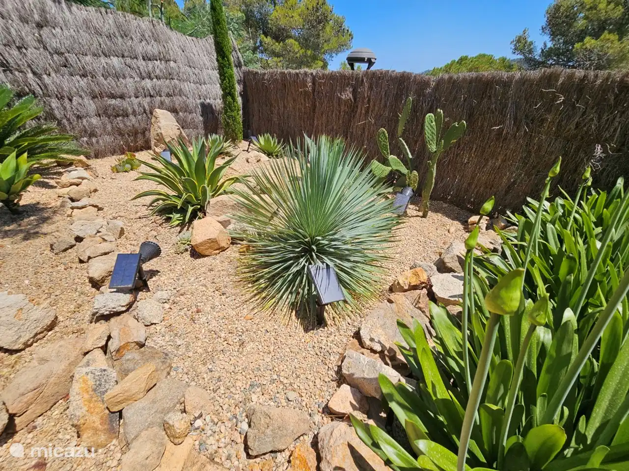 Schöne Neubepflanzung