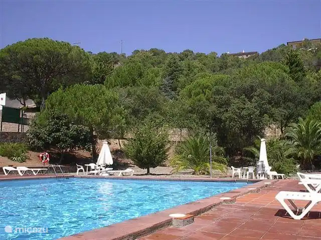 Der große Pool mit Sonnenschirmen und Liegen