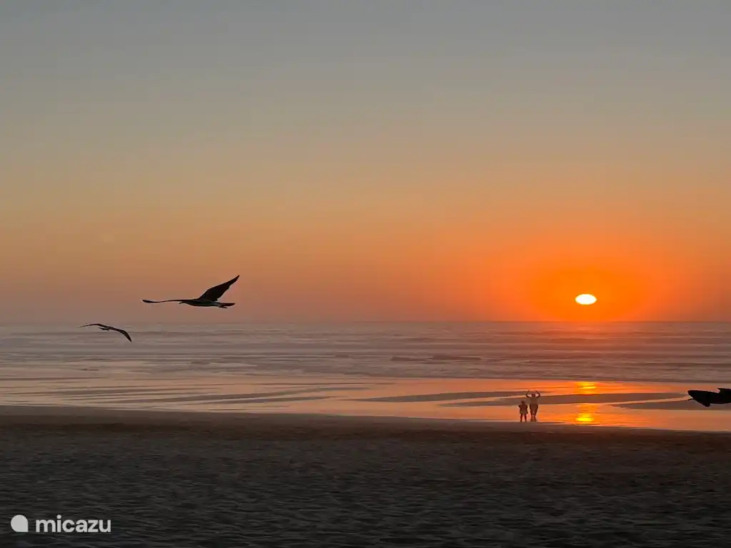 Mooie zandstranden en zonsondergangen aan de westkust van de Algarve.
