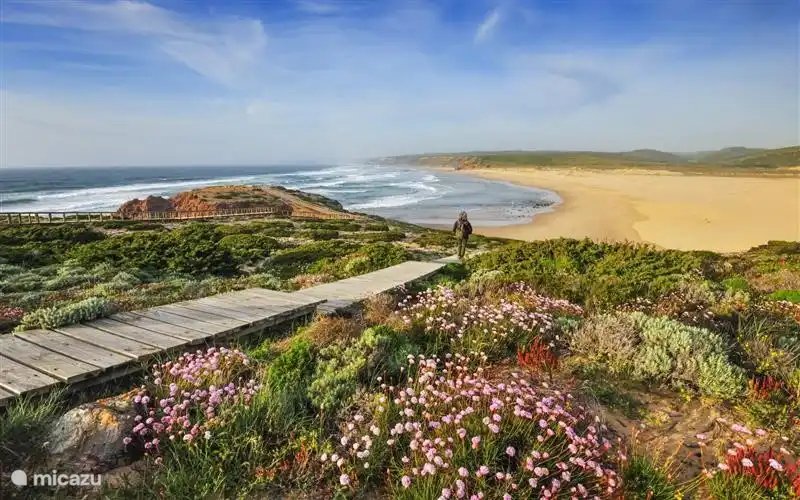 In het voorjaar natuurpracht met vele bloemen.