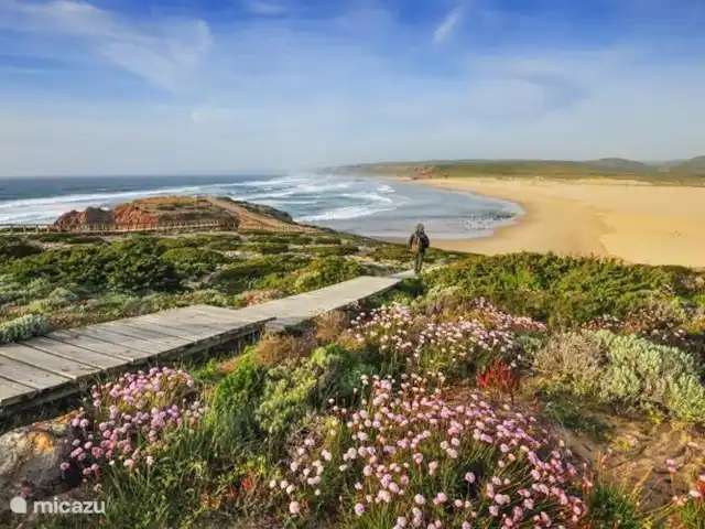 Spacieuse villa en bord de mer avec piscine | Portugal, Algarve, Aljezur - villa Au printemps beauté naturelle avec beaucoup de fleurs.