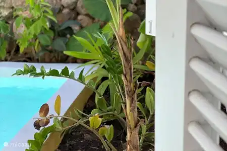 Ferienwohnung Curaçao, Banda Abou (West), Tera Korá ferienhaus Landhaus Des Bouvrie Gästehaus