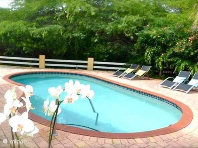 Ferienwohnung Aruba – villa  Aruba - VILLA 6 Pers. Pool
