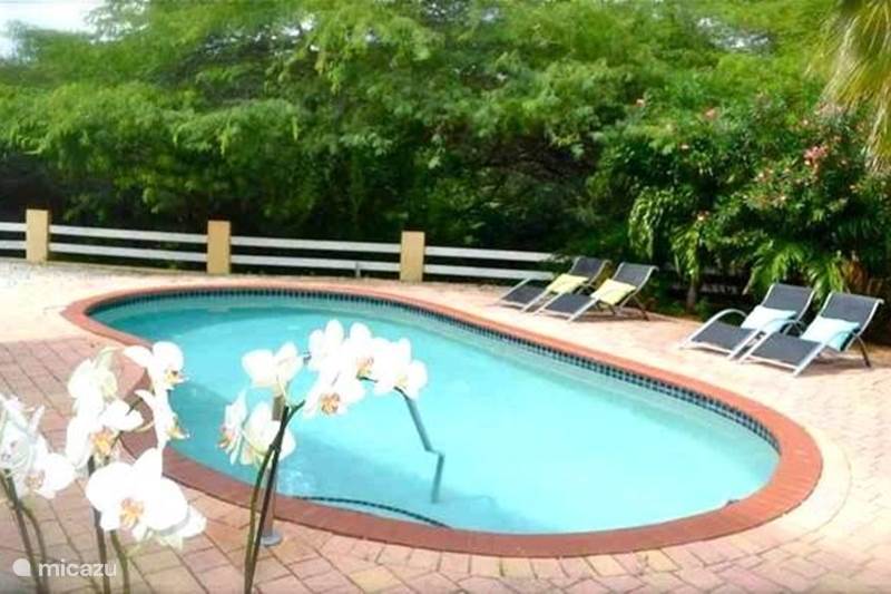 Vakantiehuis Aruba, Oranjestad, Oranjestad Villa ARUBA - VILLA 6 pers. met zwembad