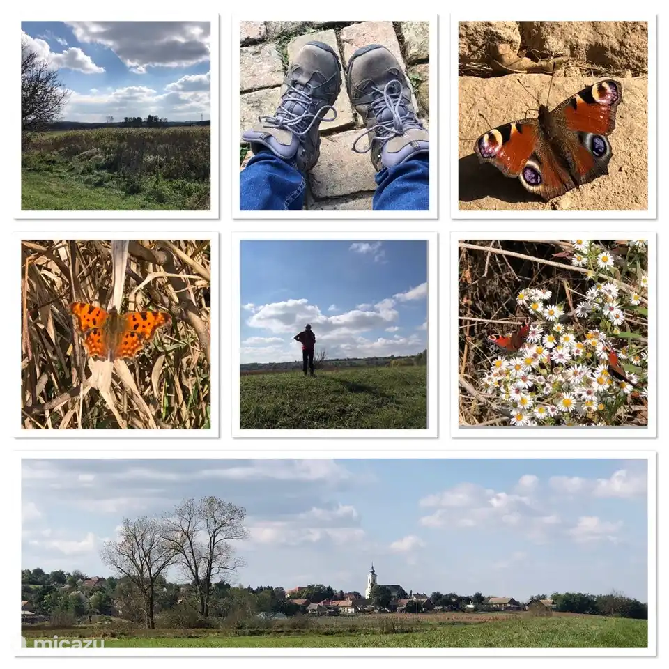 Schöner Spaziergang im Tal