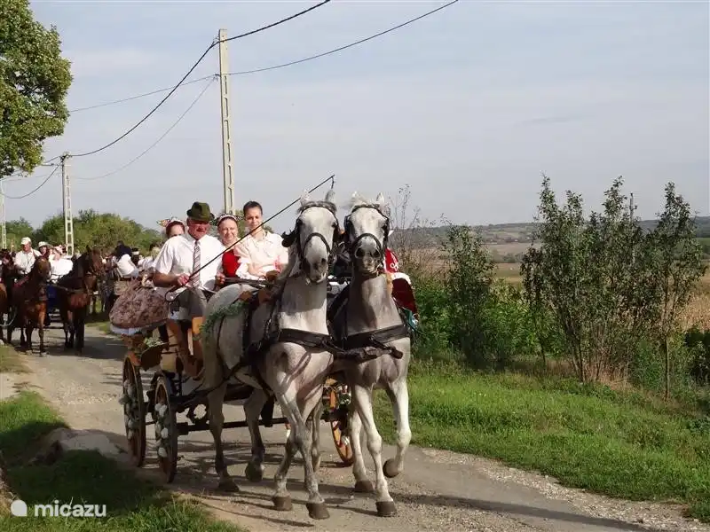 Im September finden überall Erntefeste statt. Dieses Foto wurde auf unserer Straße aufgenommen.