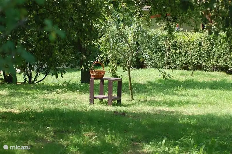 Unser wunderschöner Obstgarten mit Äpfeln, Birnen, Moränen, Kirschen, Pflaumen, Maribels, Maulbeeren, Brombeeren, Johannisbeeren, Himbeeren. Zu jeder Jahreszeit gibt es etwas zu wählen.