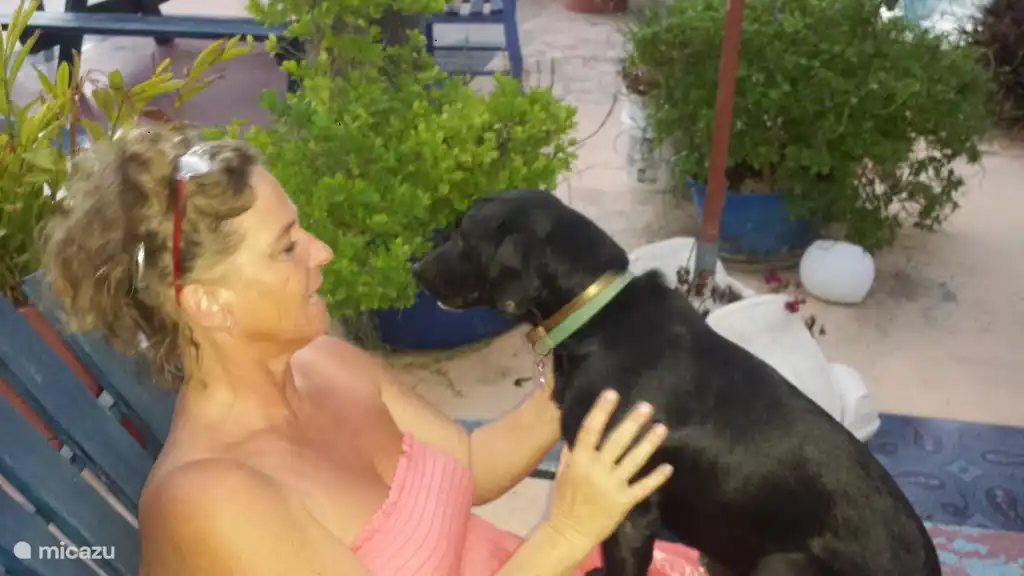 Mes chiens et mon chat Victoria sont doux et câlins, mais certainement pas intrusifs. Ils comprennent très vite si leur présence est souhaitée ou non.