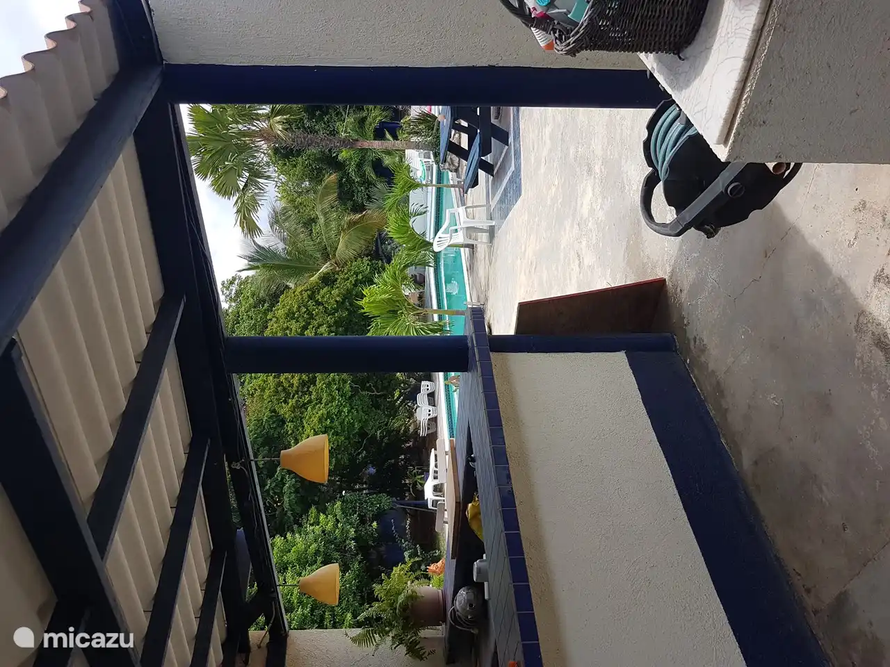 Soleil, vue sur la piscine depuis la terrasse arrière