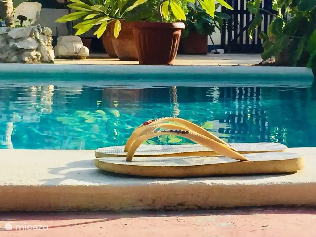 Détendez-vous à la piscine